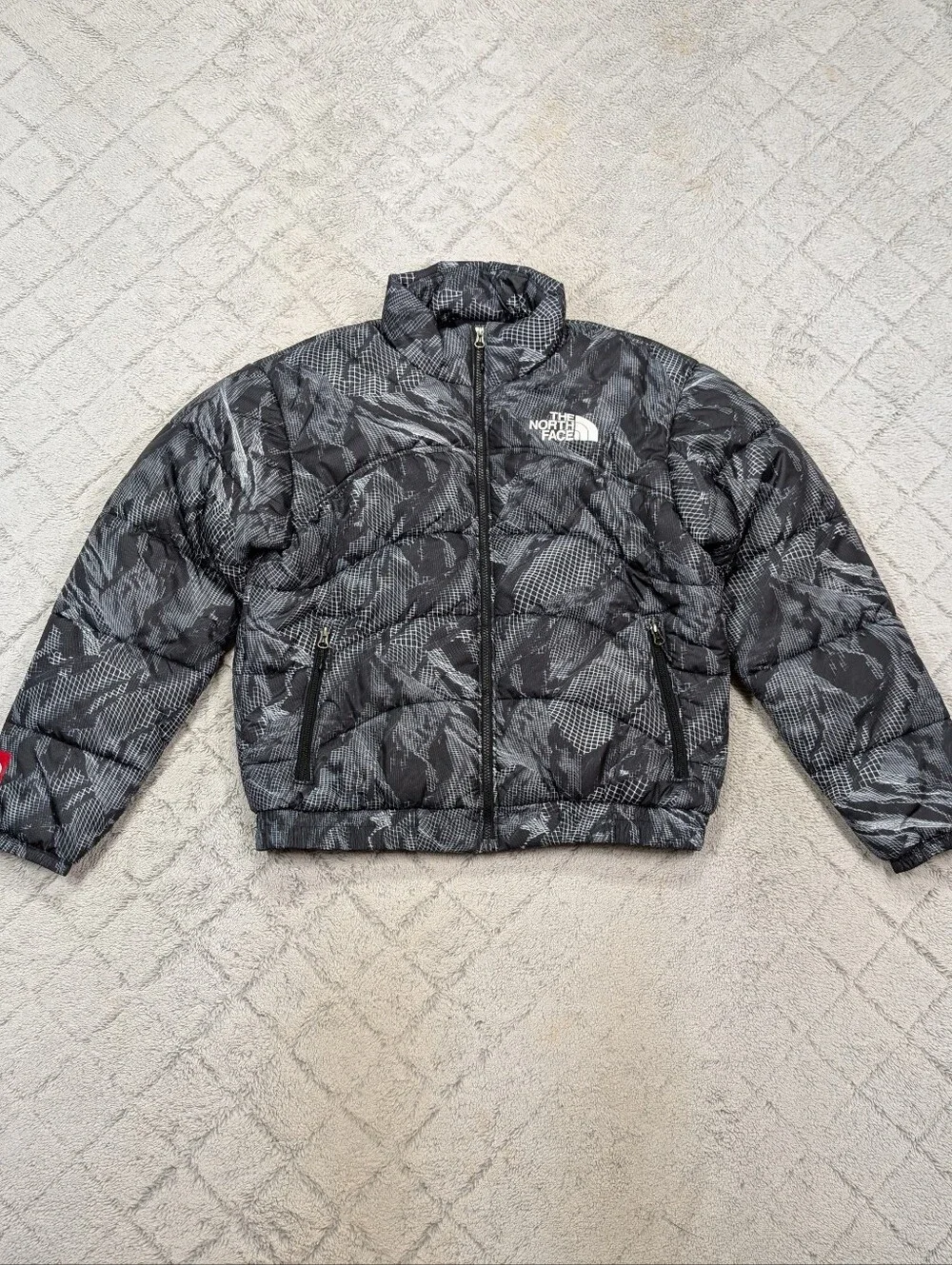 The North Face Jacket Mens M Black Gray 3D Mountain Print 2000 Puffer Summit